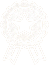icon1